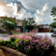 FACC - Delisle photo - July 2015
